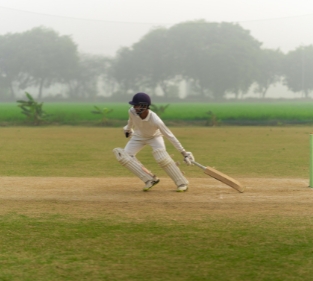 Cricket Coaching Near Me